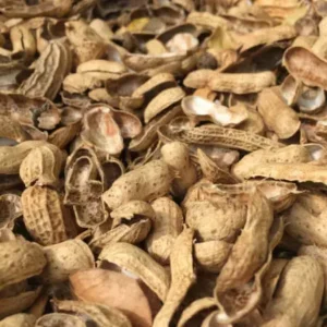 Groundnut Shells